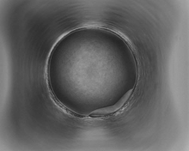 X0000113750864200909231130