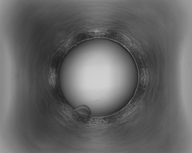 X0000113750866200909231129