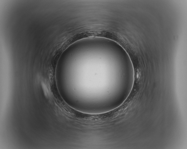 X0000113750867200909231129