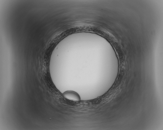 X0000113750869200909231129