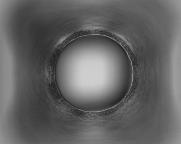 X0000113750871200909231129