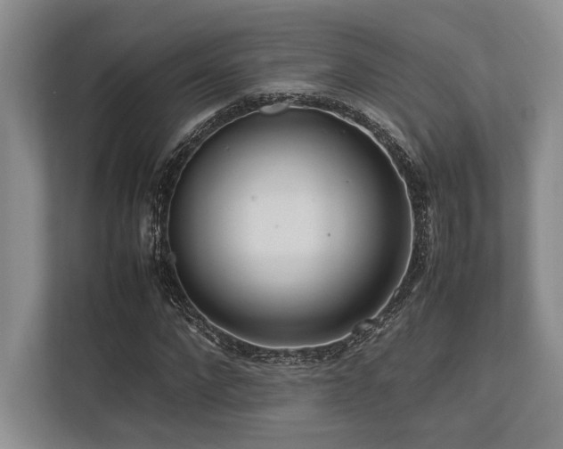 X0000113750872200909231129