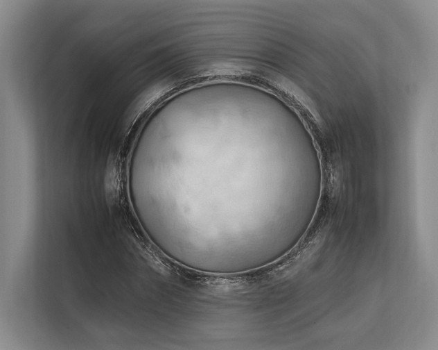 X0000113750874200909231129