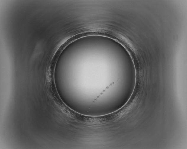 X0000113750875200909231129