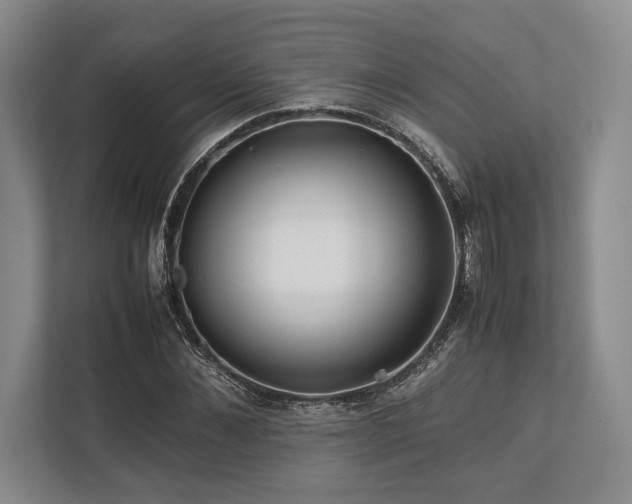 X0000113750876200909231129