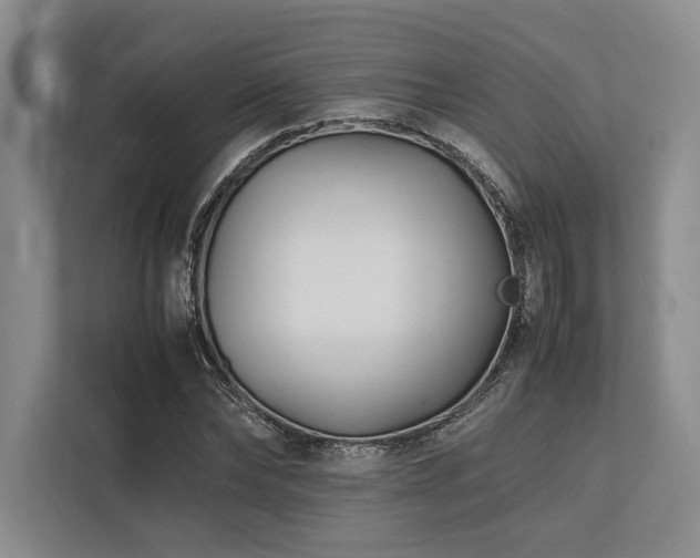 X0000113750878200909231129