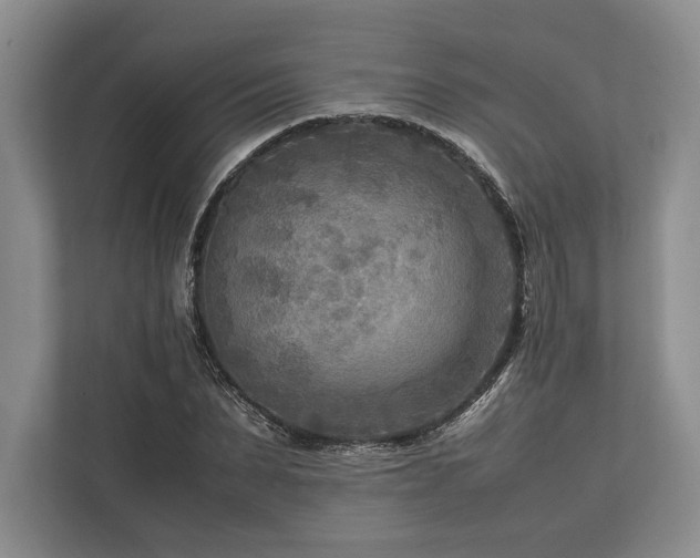 X0000113750879200909231129