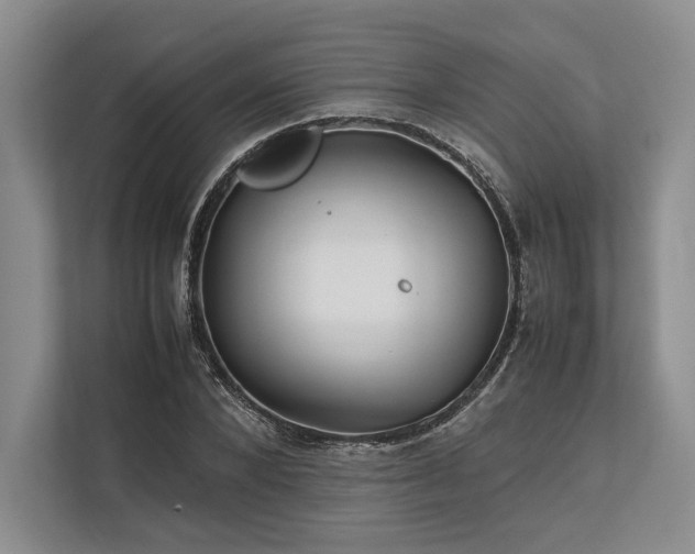 X0000113750880200909231129