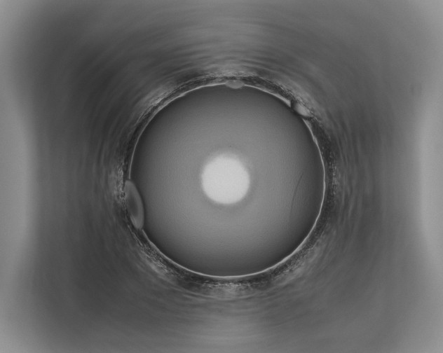 X0000113750881200909231129