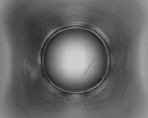 X0000113750883200909231129