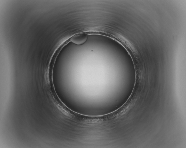 X0000113750884200909231129
