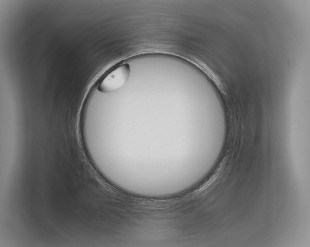 X0000113750885200909231129