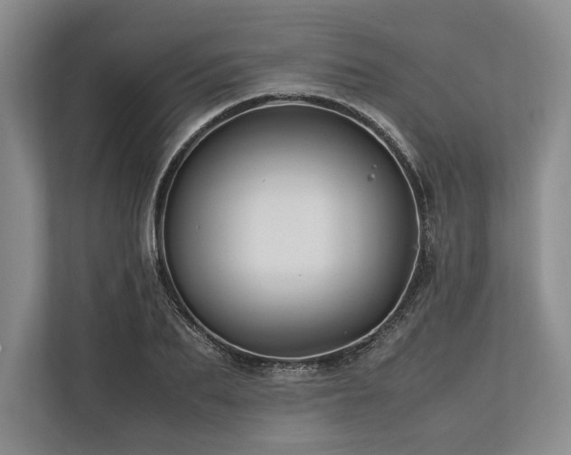 X0000113750887200909231129