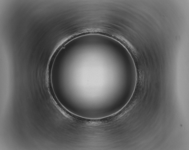X0000113750894200909231129