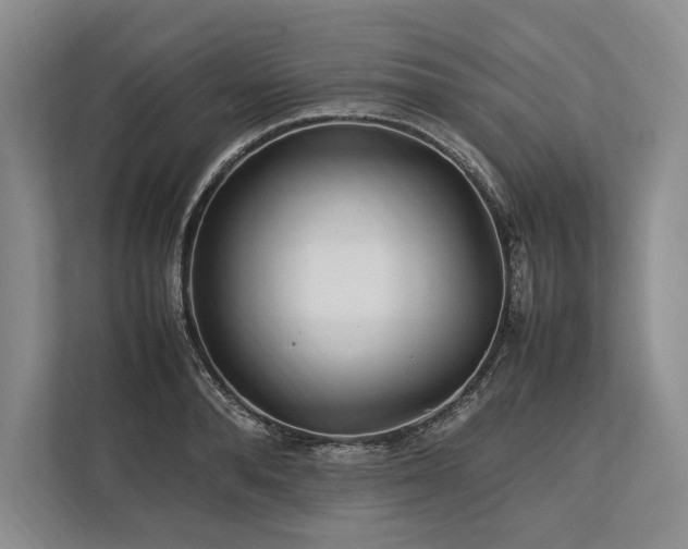 X0000113750896200909231129