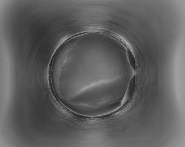 X0000113750899200909231129