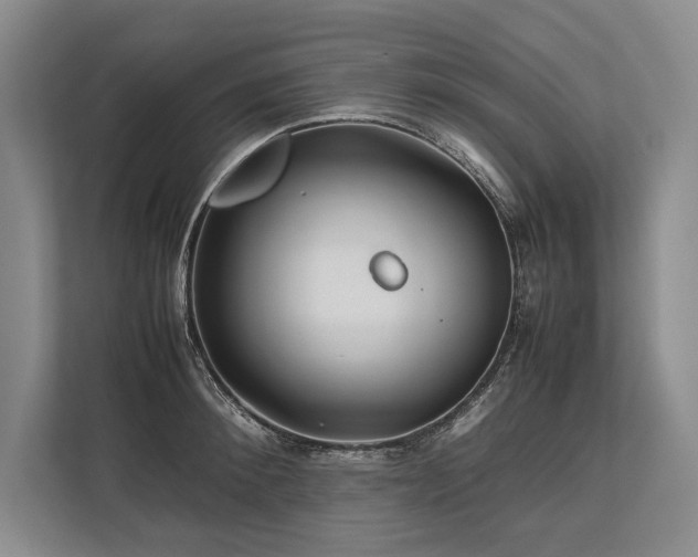 X0000113750900200909231129