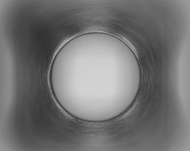 X0000113750901200909231129