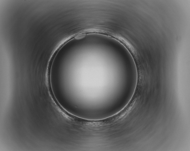 X0000113750902200909231129