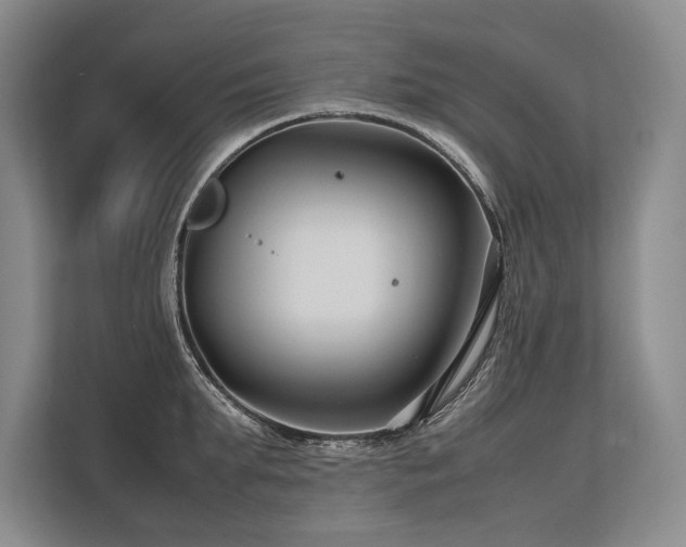 X0000113750903200909231129