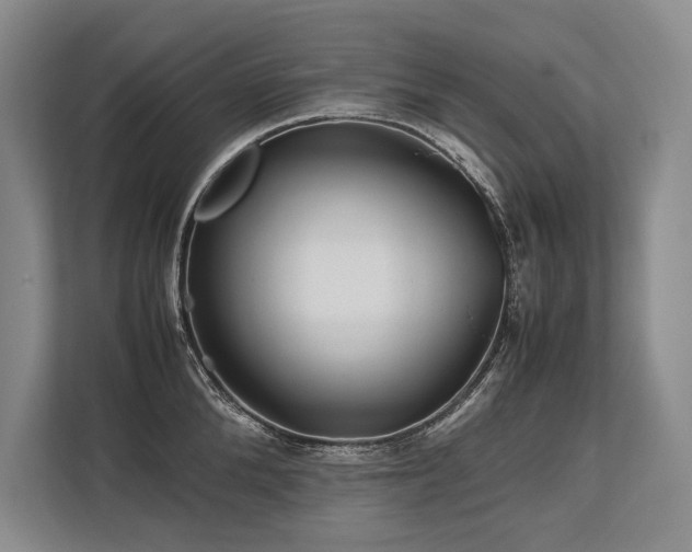 X0000113750904200909231129