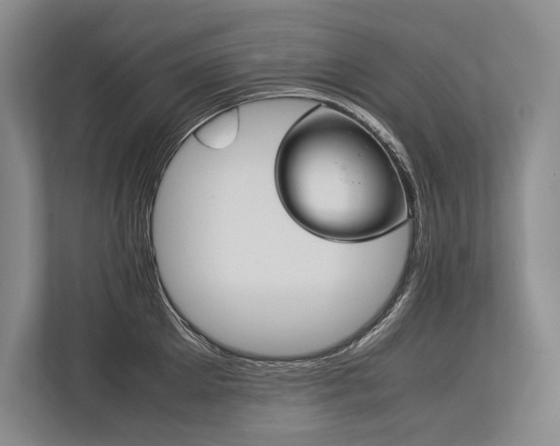X0000113750905200909231129