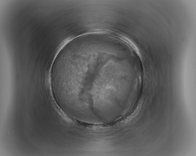 X0000113750907200909231129