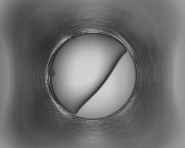 X0000113750909200909231129