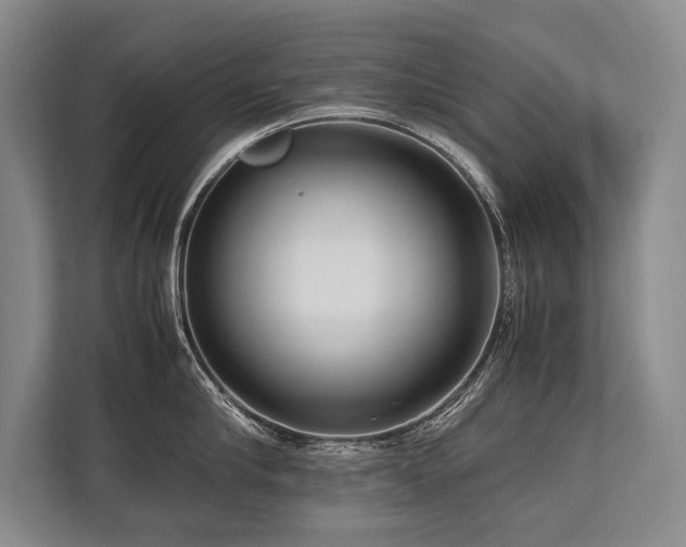 X0000113750910200909231129