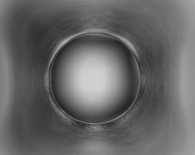 X0000113750911200909231129