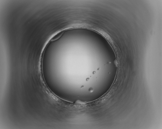 X0000113750912200909231129
