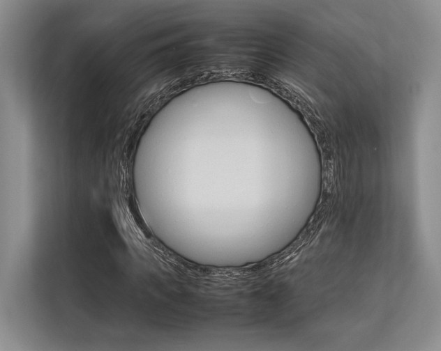 X0000113750917200909231128