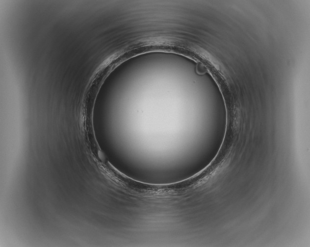 X0000113750922200909231128