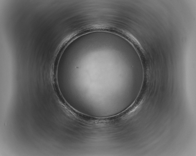 X0000113750930200909231128