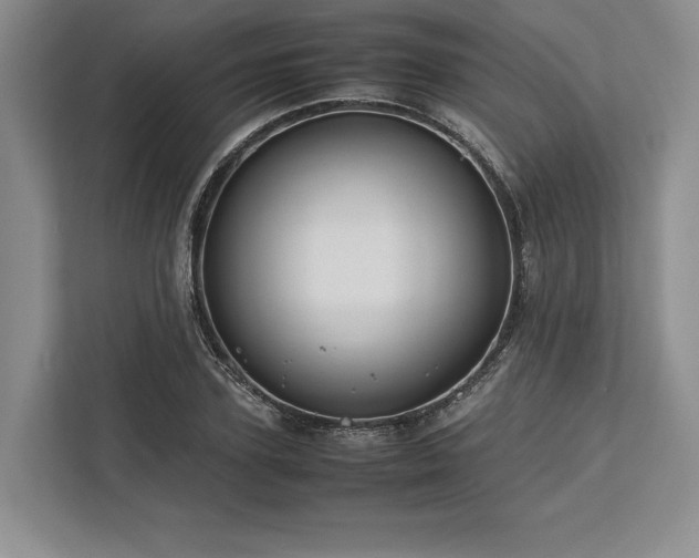 X0000113750931200909231128