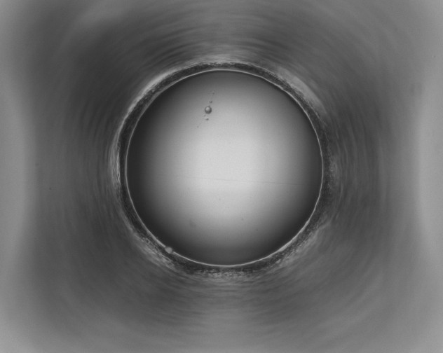 X0000113750934200909231128