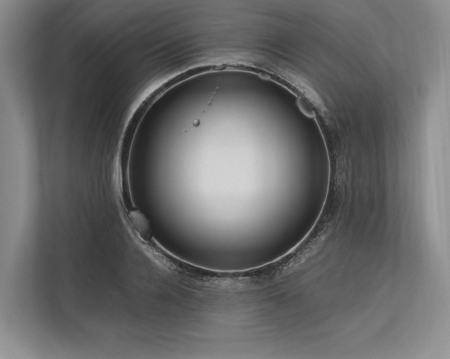 X0000113750936200909231129