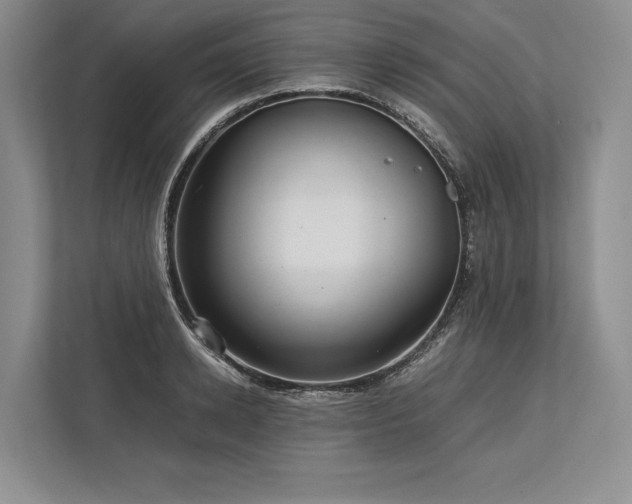 X0000113750942200909231129