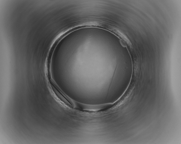 X0000113750944200909231129