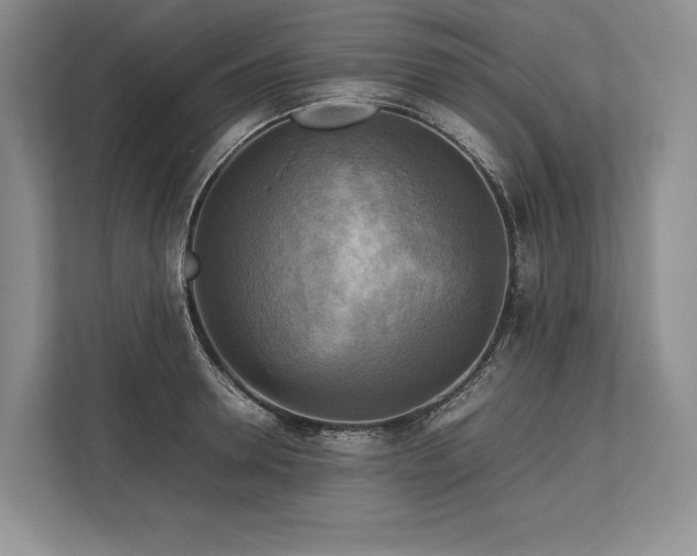 X0000113750946200909231129