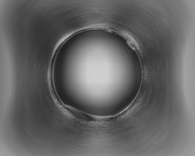 X0000113750952200909231129