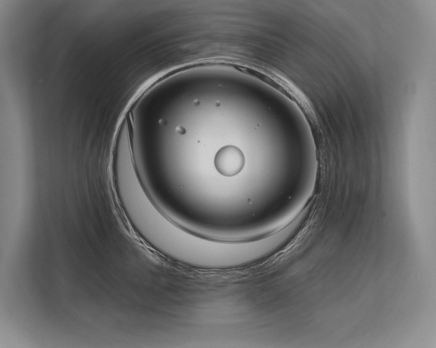 X0000113750956200909231129