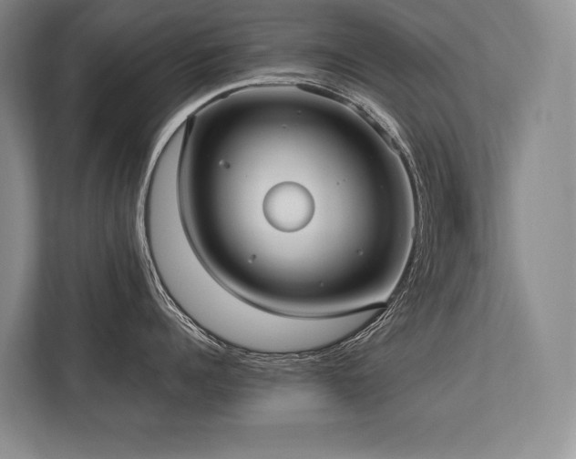 X0000113750960200909231129