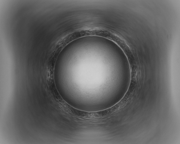 X0000113750966200909231128