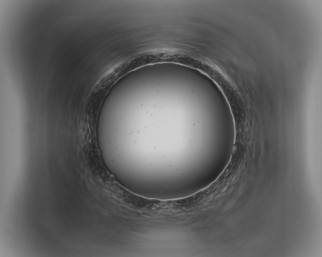 X0000113750967200909231128