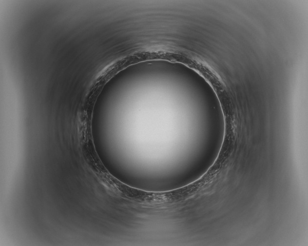 X0000113750968200909231128