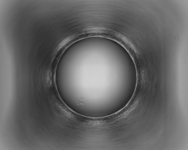 X0000113750970200909231128