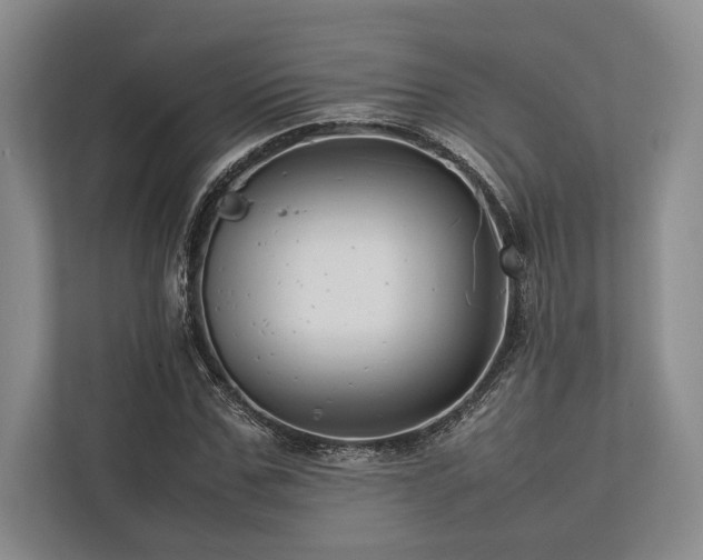 X0000113750971200909231128