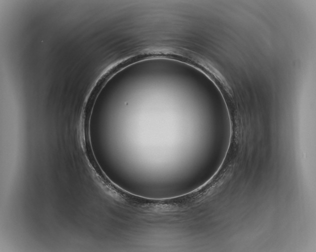 X0000113750984200909231128