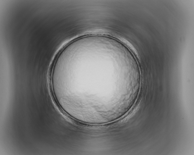 X0000113750989200909231128